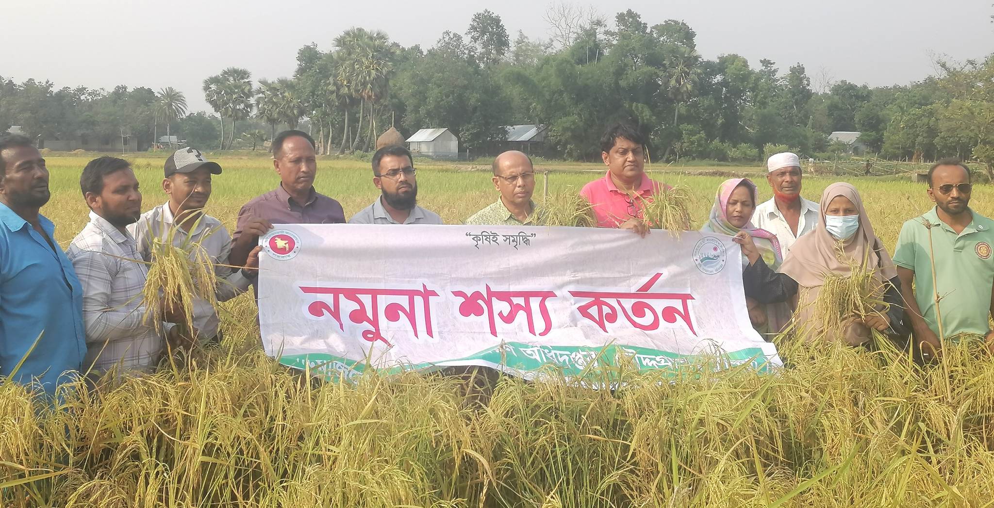 চৌদ্দগ্রামে বিনা ধান-২৫ এর মাঠ প্রদর্শনী ও নমুনা শস্য কর্তন অনুষ্ঠিত