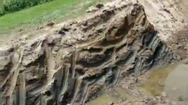 ব্রাহ্মণবাড়িয়ায় কৃষিজমি কেটে বিক্রি, এলাকাবাসীর উদ্বেগ