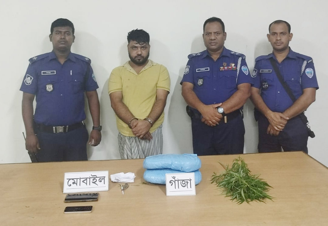চৌদ্দগ্রামে গাঁজা ও তাজা গাছ সহ চিহিৃত মাদক কারবারি আব্দুল মমিন আটক