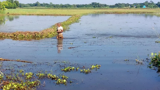 তিতাসে খাল দখল আর ড্রেনেজ বিপর্যয়ে কৃষকের হাহাকার