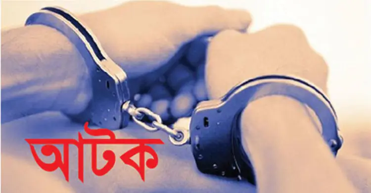 বুড়িচংয়ে মাদকের বড় চালানসহ আটক এক পাচারকারী